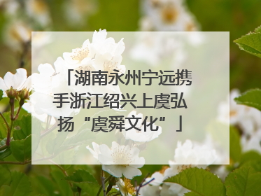 湖南永州宁远携手浙江绍兴上虞弘扬“虞舜文化”