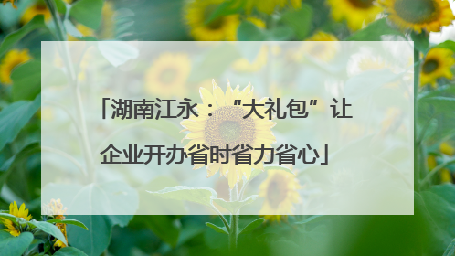 湖南江永：“大礼包”让企业开办省时省力省心