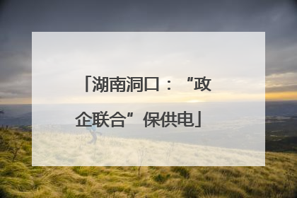 湖南洞口：“政企联合”保供电