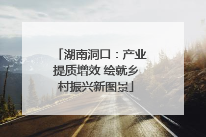 湖南洞口：产业提质增效 绘就乡村振兴新图景