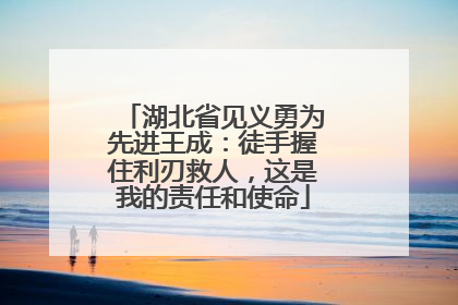 湖北省见义勇为先进王成：徒手握住利刃救人，这是我的责任和使命