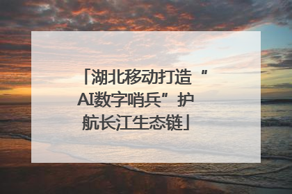湖北移动打造“AI数字哨兵”护航长江生态链