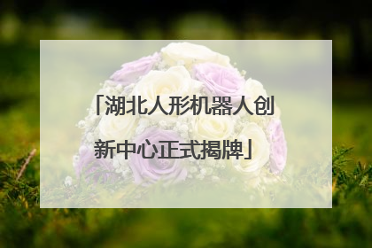 湖北人形机器人创新中心正式揭牌