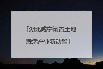 湖北咸宁闲置土地激活产业新动能