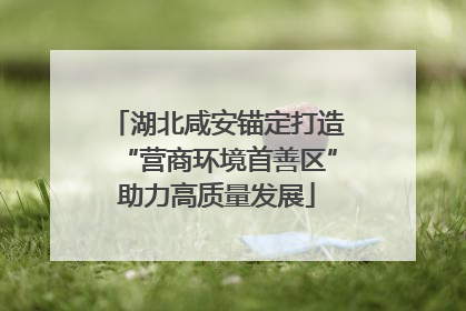 湖北咸安锚定打造“营商环境首善区”助力高质量发展