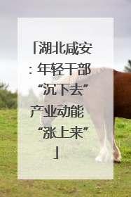 湖北咸安：年轻干部“沉下去” 产业动能“涨上来”