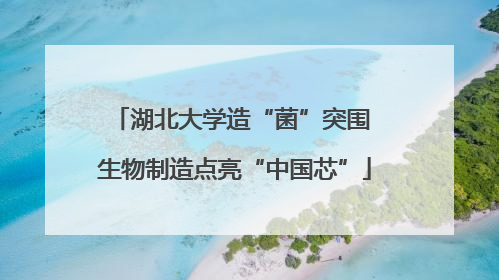 湖北大学造“菌”突围 生物制造点亮“中国芯”