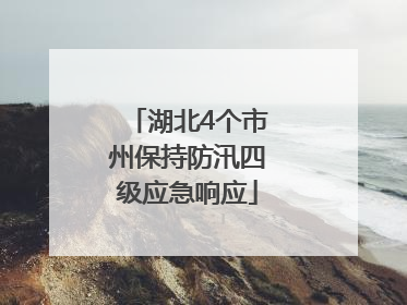 湖北4个市州保持防汛四级应急响应