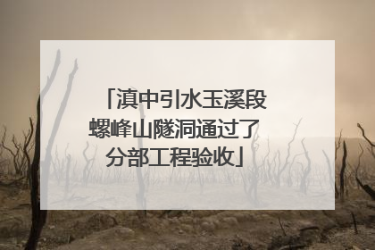 滇中引水玉溪段螺峰山隧洞通过了分部工程验收