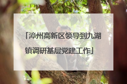 漳州高新区领导到九湖镇调研基层党建工作