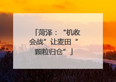 菏泽：“机收会战”让麦田“颗粒归仓”