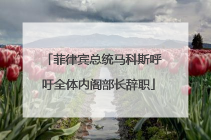 菲律宾总统马科斯呼吁全体内阁部长辞职