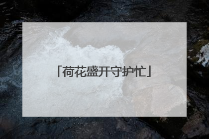 荷花盛开守护忙
