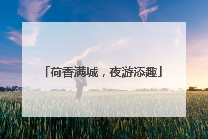 荷香满城，夜游添趣