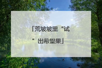 荒坡坡里“试”出希望果