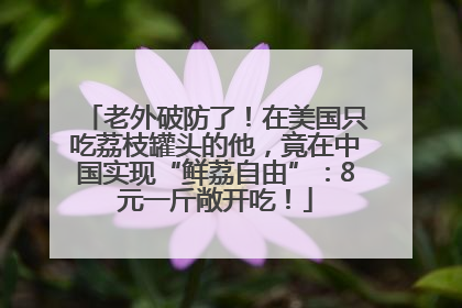 老外破防了！在美国只吃荔枝罐头的他，竟在中国实现“鲜荔自由”：8元一斤敞开吃！