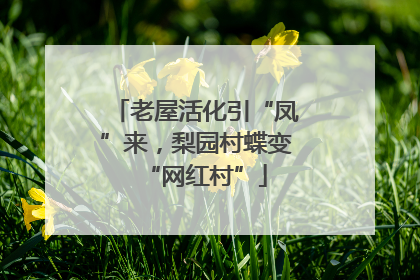 老屋活化引“凤”来，梨园村蝶变“网红村”