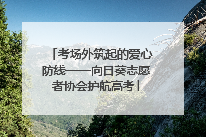 考场外筑起的爱心防线——向日葵志愿者协会护航高考