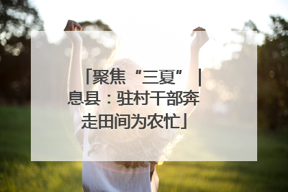 聚焦“三夏”｜息县：驻村干部奔走田间为农忙