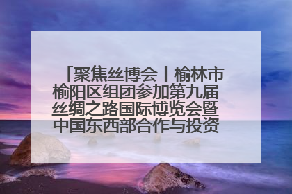 聚焦丝博会丨榆林市榆阳区组团参加第九届丝绸之路国际博览会暨中国东西部合作与投资贸易洽谈会