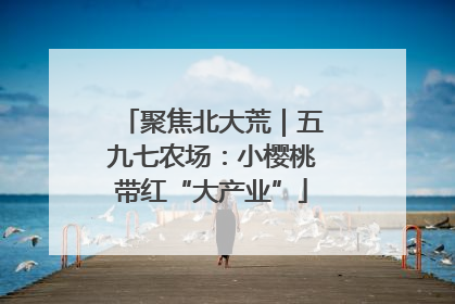 聚焦北大荒｜五九七农场：小樱桃带红“大产业”