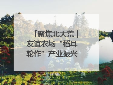 聚焦北大荒｜友谊农场“稻耳轮作”产业振兴“花开两朵”