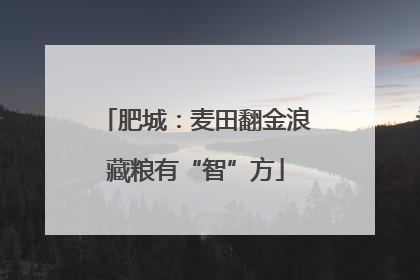 肥城：麦田翻金浪藏粮有“智”方