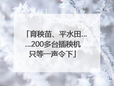 育秧苗、平水田……200多台插秧机只等一声令下