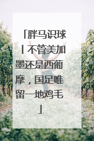 胖马识球丨不管美加墨还是西葡摩，国足唯留一地鸡毛