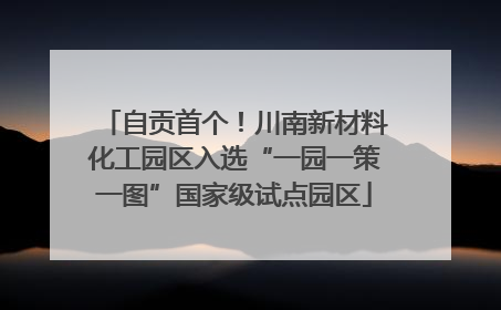 自贡首个！川南新材料化工园区入选“一园一策一图”国家级试点园区