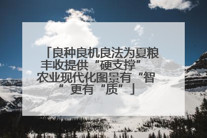 良种良机良法为夏粮丰收提供“硬支撑” 农业现代化图景有“智”更有“质”