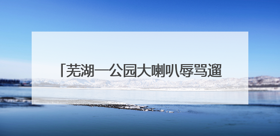 芜湖一公园大喇叭辱骂遛狗市民？真相来了……