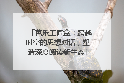 芭乐工匠盒：跨越时空的思想对话，塑造深度阅读新生态