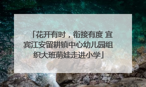 花开有时，衔接有度 宜宾江安留耕镇中心幼儿园组织大班萌娃走进小学
