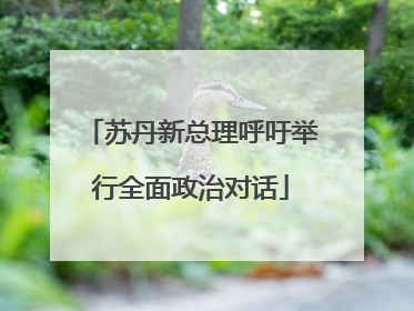 苏丹新总理呼吁举行全面政治对话