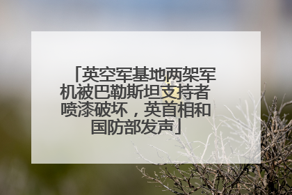 英空军基地两架军机被巴勒斯坦支持者喷漆破坏，英首相和国防部发声