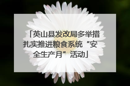 英山县发改局多举措扎实推进粮食系统“安全生产月”活动