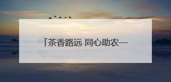 茶香路远 同心助农——永州高速开展助力乡村振兴“路外”志愿服务