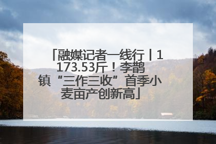 融媒记者一线行丨1173.53斤！李鹊镇“三作三收”首季小麦亩产创新高