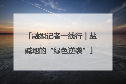 融媒记者一线行｜盐碱地的“绿色逆袭”