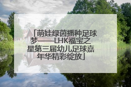 萌娃绿茵播种足球梦——LHK福宝之星第三届幼儿足球嘉年华精彩绽放