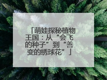 萌娃探秘植物王国：从“会飞的种子”到“善变的绣球花”