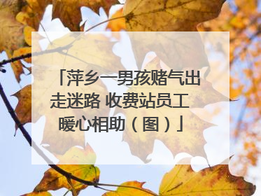 萍乡一男孩赌气出走迷路 收费站员工暖心相助（图）