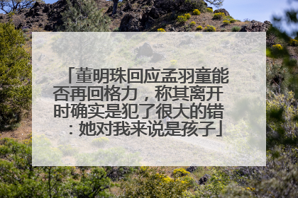 董明珠回应孟羽童能否再回格力，称其离开时确实是犯了很大的错：她对我来说是孩子