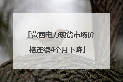 蒙西电力现货市场价格连续4个月下降