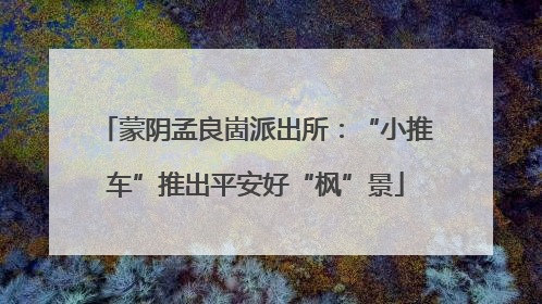 蒙阴孟良崮派出所：“小推车”推出平安好“枫”景
