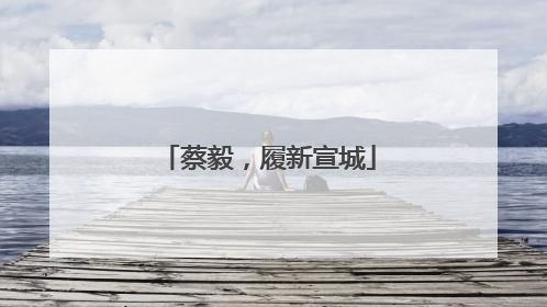 蔡毅，履新宣城