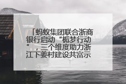 蚂蚁集团联合浙商银行启动“栀梦行动”，三个维度助力浙江下姜村建设共富示范区示范点