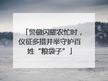 警徽闪耀农忙时，仪征多措并举守护百姓“粮袋子”