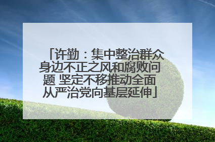 许勤：集中整治群众身边不正之风和腐败问题 坚定不移推动全面从严治党向基层延伸
